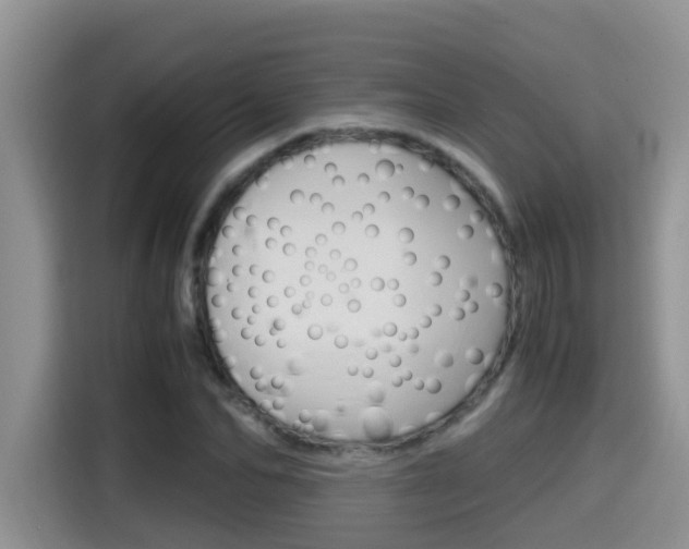 X0000115700974200911120940