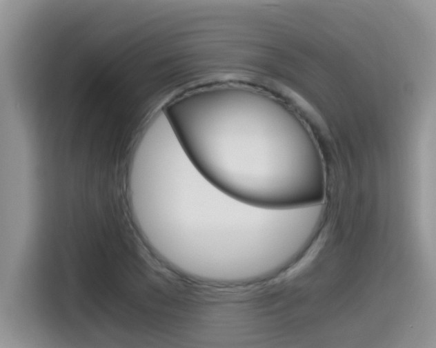 X0000115700977200911120940