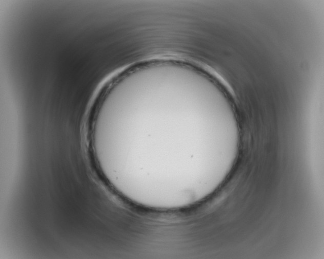 X0000115700979200911120940