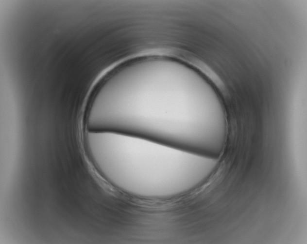X0000115700980200911120940