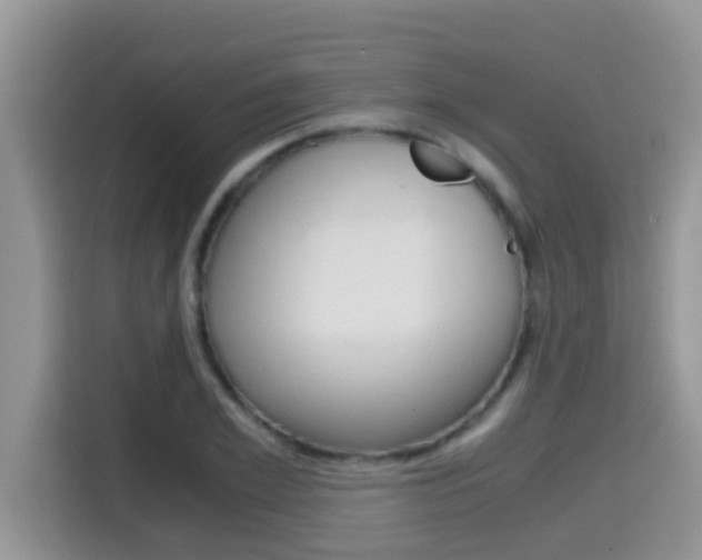 X0000115700981200911120940