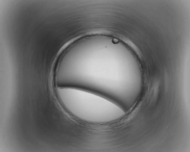 X0000115700983200911120940