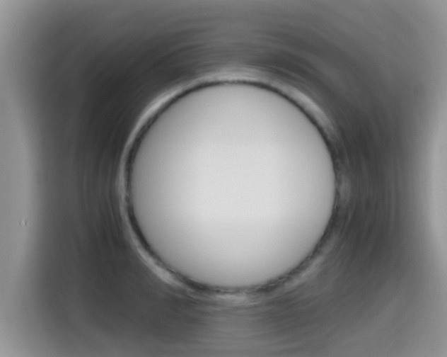 X0000115700990200911120939