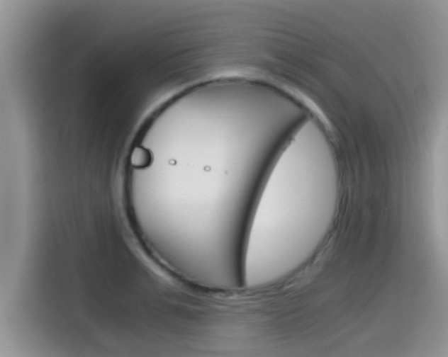 X0000115700991200911120939