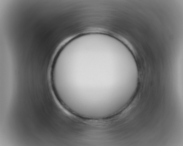 X0000115700995200911120939