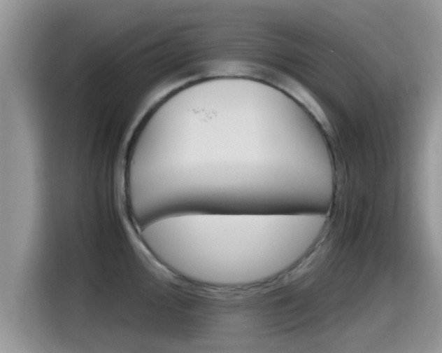 X0000115701000200911120939