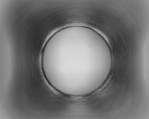 X0000115701006200911120939