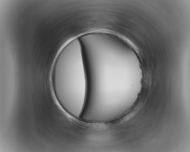 X0000115701007200911120939