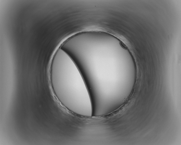 X0000115701008200911120939