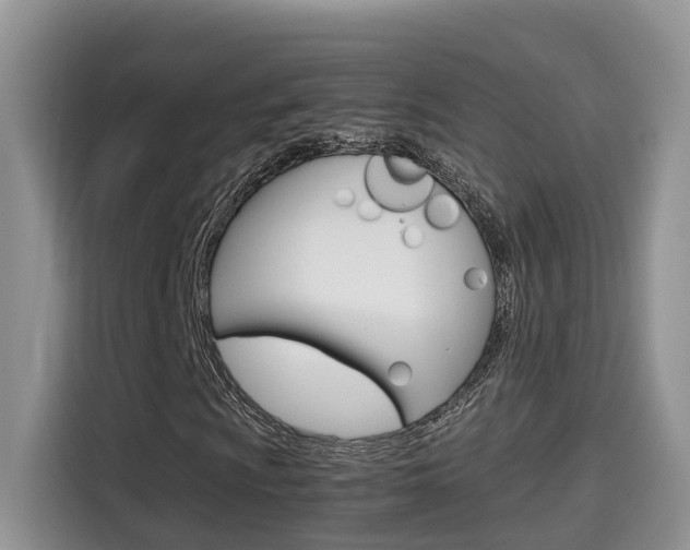 X0000115701009200911120939