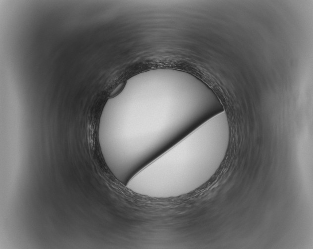 X0000115701010200911120939