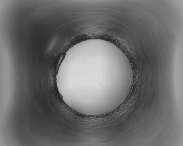 X0000115701012200911120939