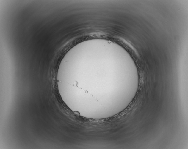 X0000115701015200911120939