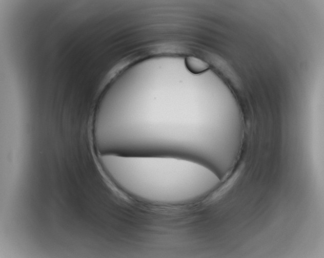 X0000115701033200911120939