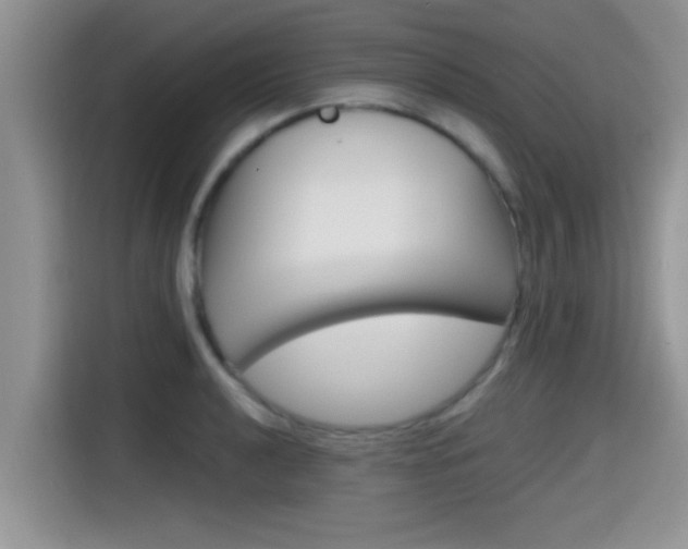 X0000115701040200911120939