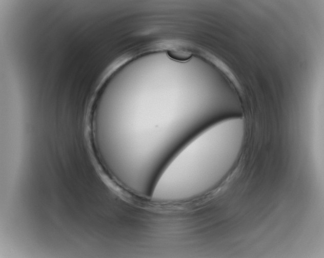 X0000115701042200911120939