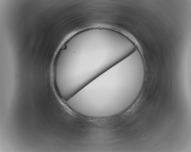 X0000115701048200911120939