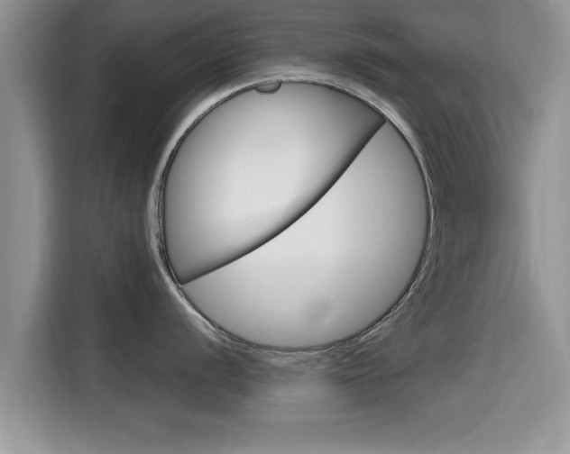 X0000115701056200911120939
