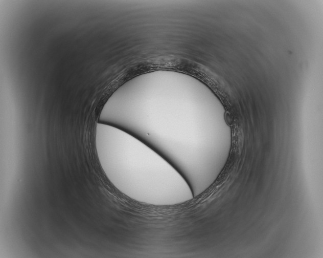 X0000115701058200911120939