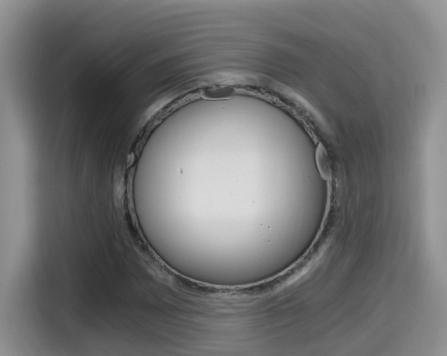 X0000115701065200911120938