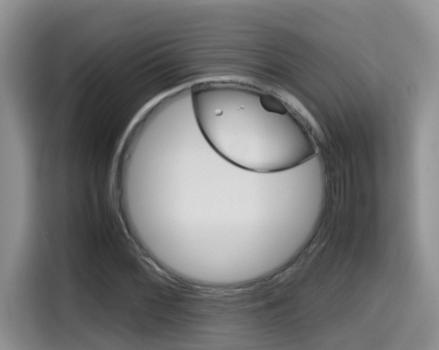 X0000115701068200911120938