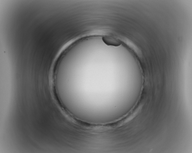 X0000115701077200911120938