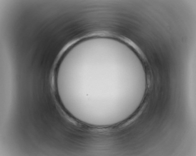 X0000115701078200911120938