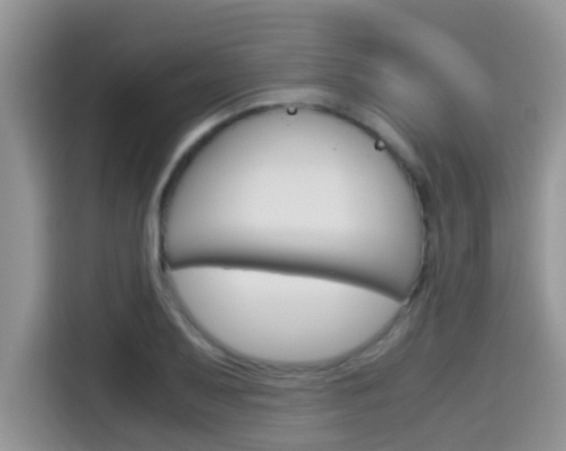 X0000115701079200911120938