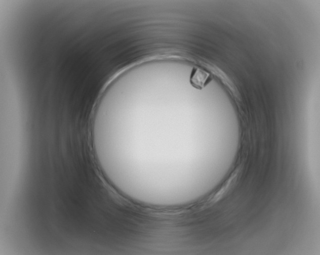 X0000115701081200911120938