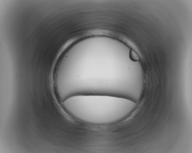 X0000115701082200911120938