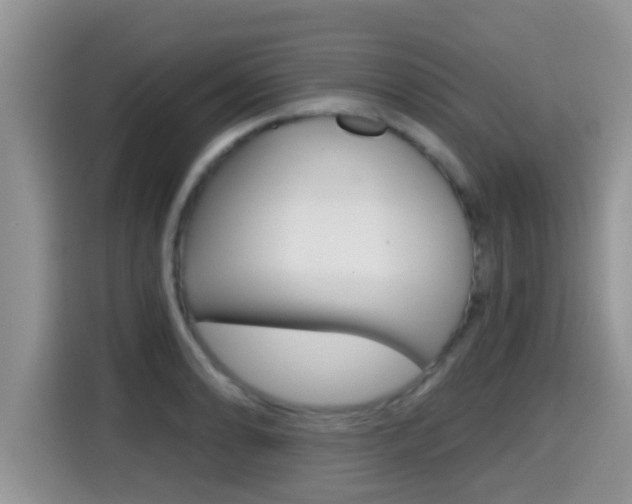 X0000115701086200911120938