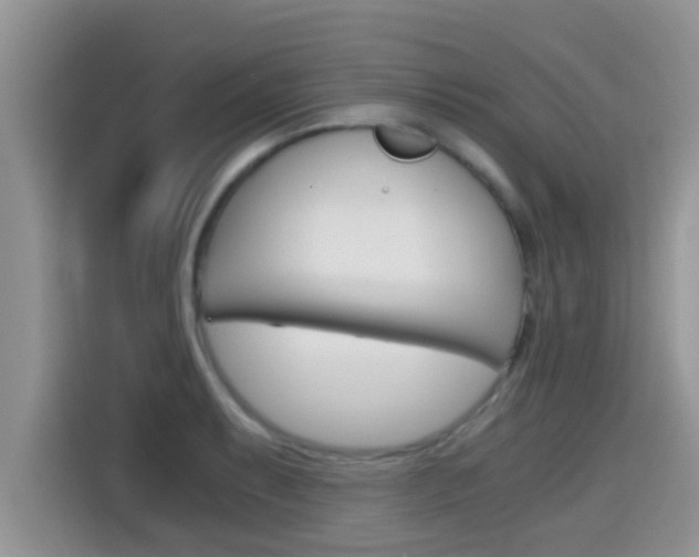 X0000115701087200911120938