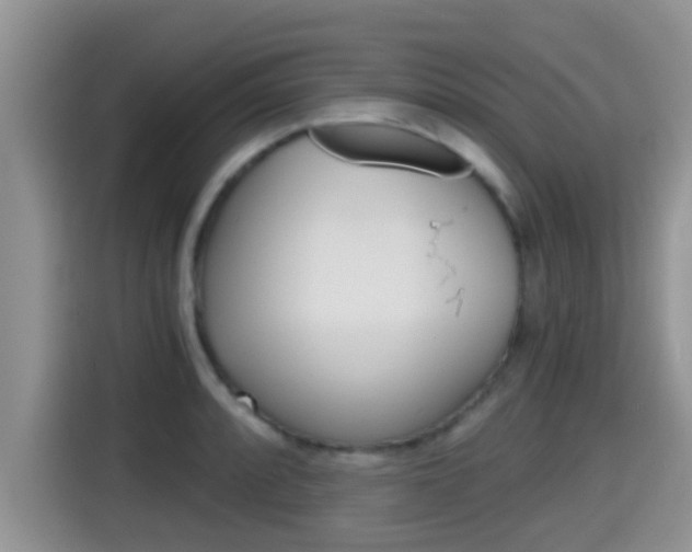 X0000115701088200911120938