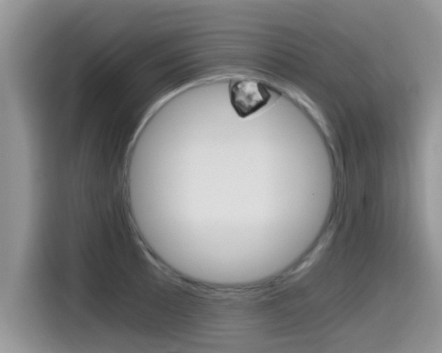 X0000115701089200911120938