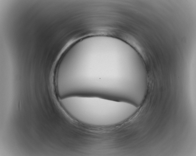 X0000115701091200911120938