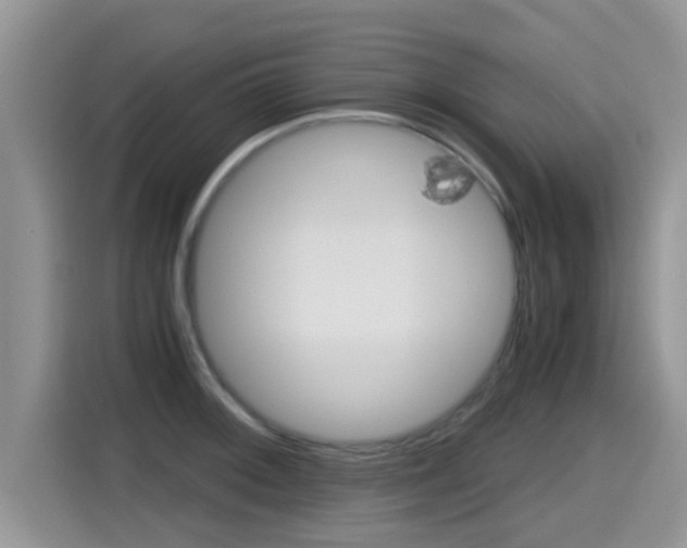 X0000115701092200911120938