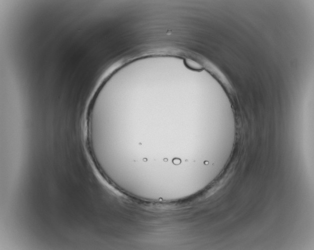 X0000115701095200911120938