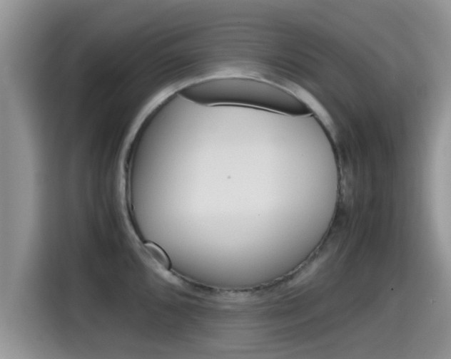 X0000115701096200911120938