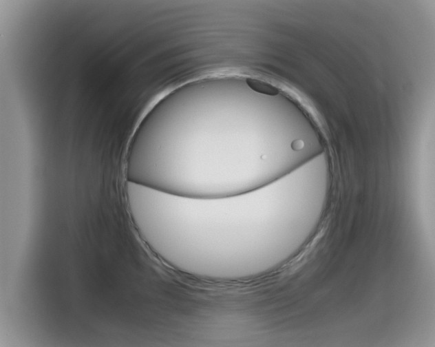 X0000115701097200911120938