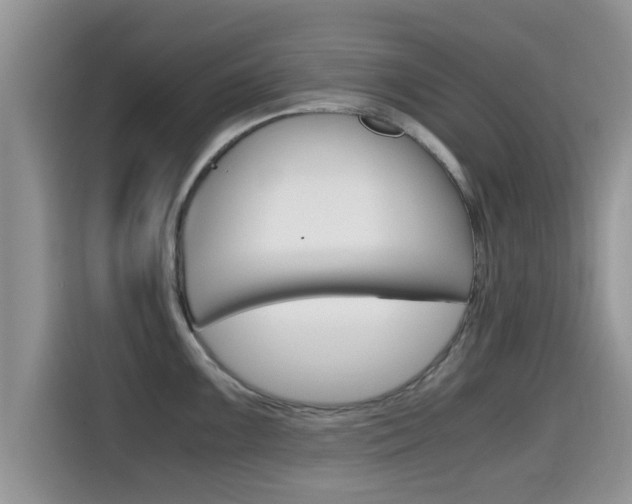 X0000115701099200911120938