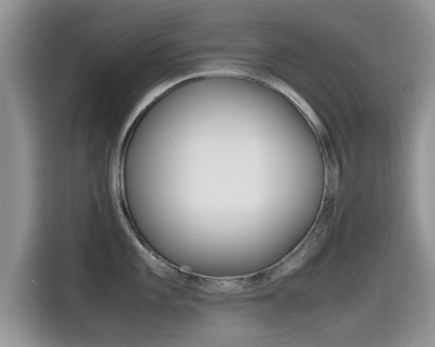 X0000115701101200911120938