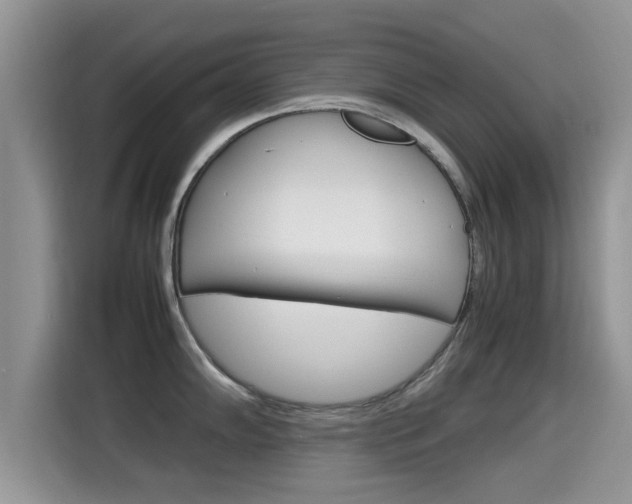 X0000115701102200911120938