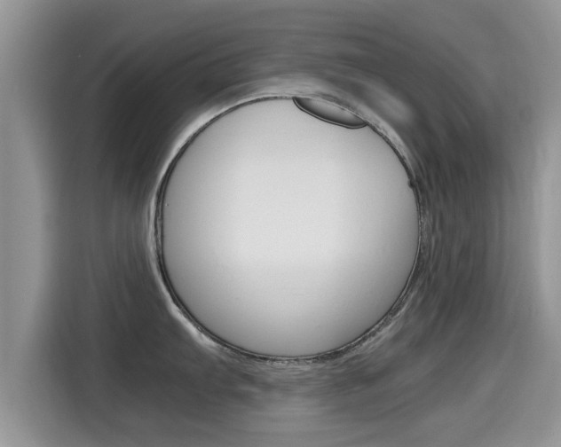 X0000115701103200911120938