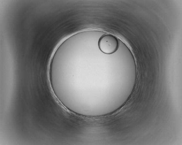 X0000115701104200911120938
