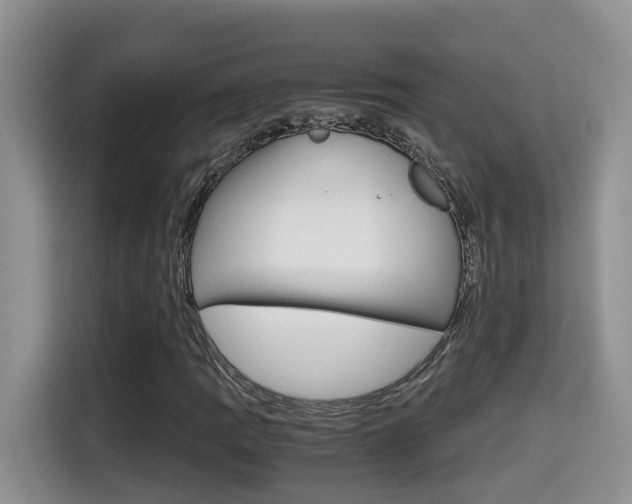 X0000115701109200911120937