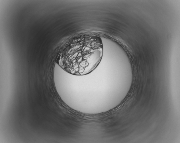 X0000115701110200911120937