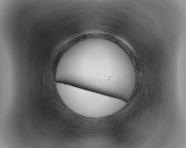 X0000115701111200911120937