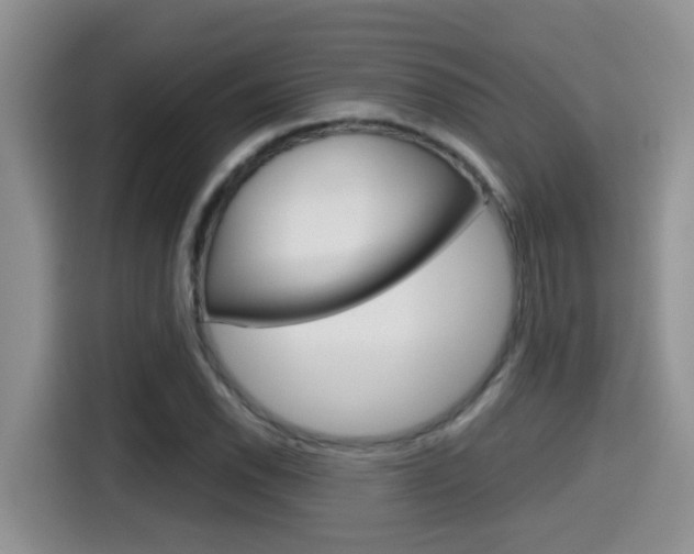 X0000115701118200911120937