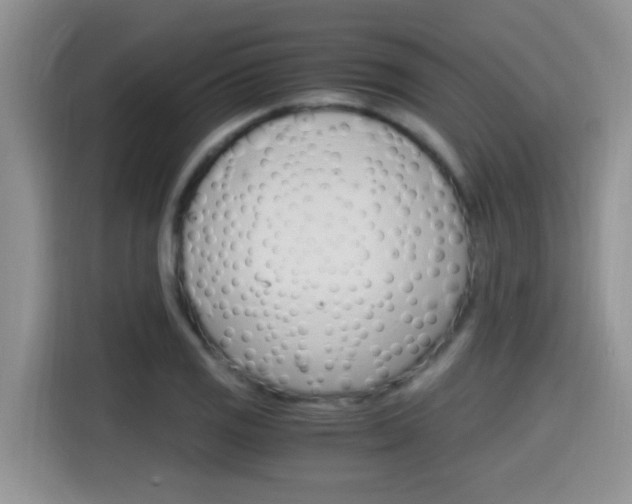 X0000115701125200911120938