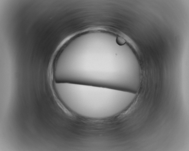 X0000115701127200911120938